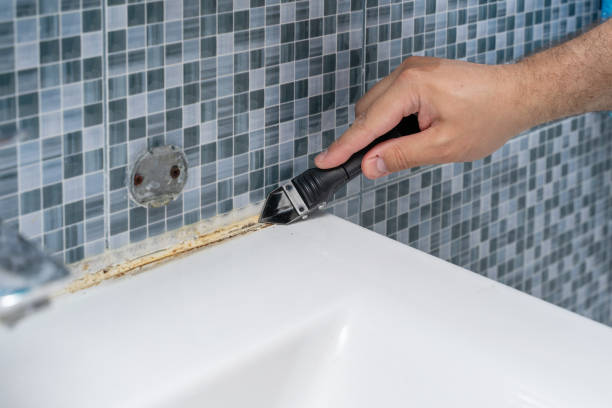 Best Residential Mold Remediation in Lead, SD